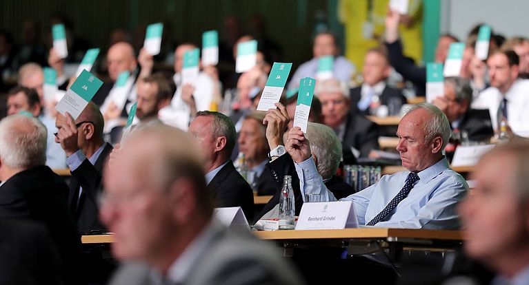DFB-Bundestag: Wichtige Entscheidungen in Frankfurt