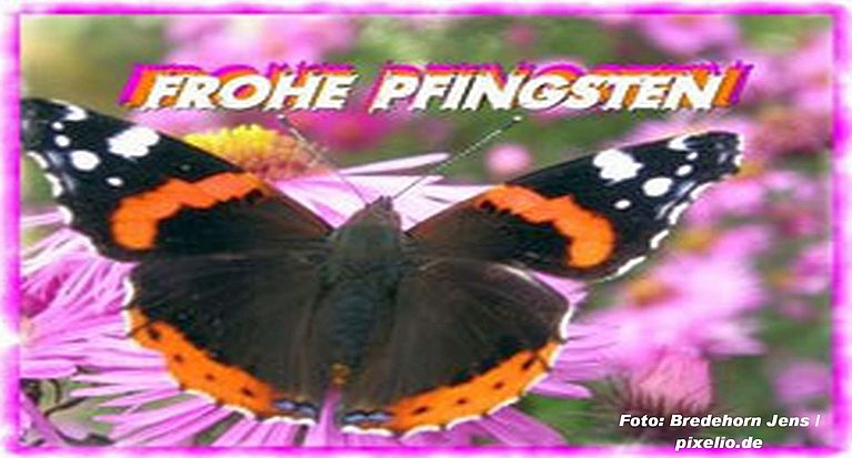 Frohe Pfingsttage!